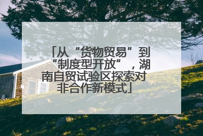 从“货物贸易”到“制度型开放”，湖南自贸试验区探索对非合作新模式